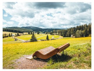 Appartamento per vacanze Titisee-Neustadt Ambiente 21