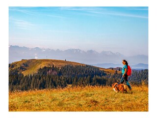 Feldberg