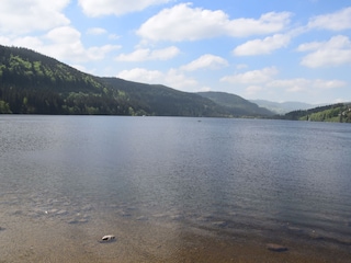 Titisee mit Ausblick