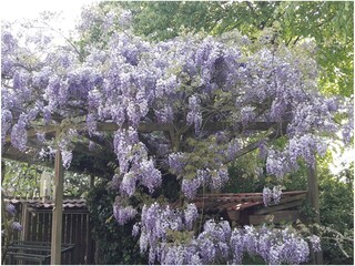 Appartamento per vacanze Oostkapelle Registrazione all'aperto 14