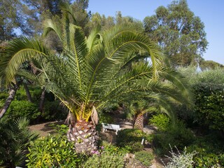 View into the garden