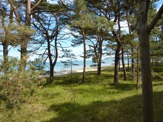 Appartamento per vacanze Binz Ambiente 18