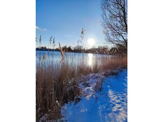 See Achtern Diek im Winter