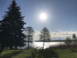 Liegewiese im Sonnenaufgang