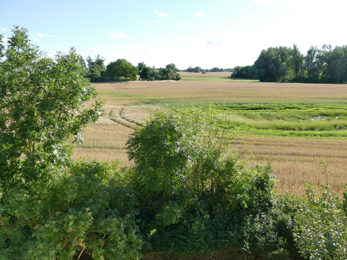 Ein Blick aus dem Fenster