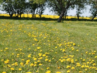 Apartamento Neuburg in Mecklenburg Grabación al aire libre 7