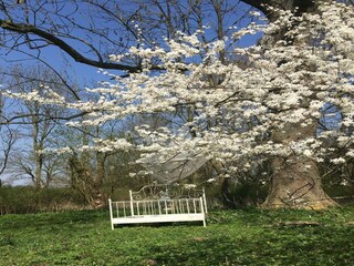 Appartamento Neuburg in Mecklenburg  38