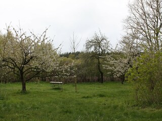 Apartamento Neuburg in Mecklenburg Grabación al aire libre 4