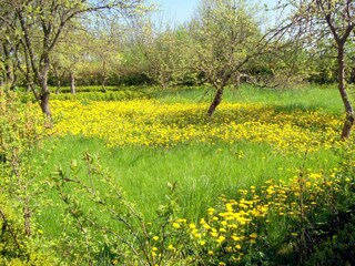 Appartamento Neuburg in Mecklenburg Registrazione all'aperto 7