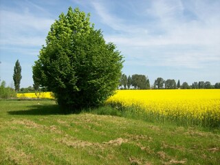 Appartamento Neuburg in Mecklenburg Ambiente 27