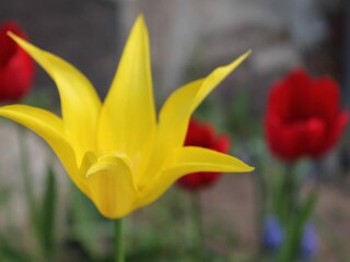 Appartamento Neuburg in Mecklenburg  37