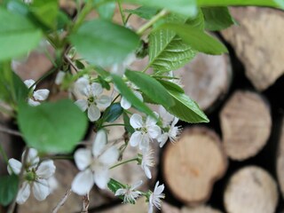 Appartamento Neuburg in Mecklenburg  39