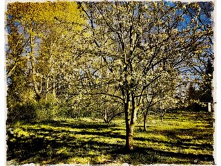 Appartement Neuburg in Mecklenburg Enregistrement extérieur 17