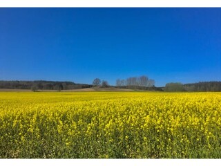 Appartement Neuburg in Mecklenburg Environnement 35