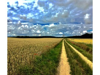 Appartamento Neuburg in Mecklenburg Ambiente 28