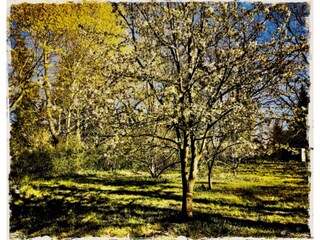 Apartment Neuburg in Mecklenburg Outdoor Recording 13