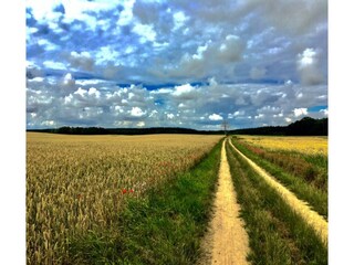 Apartment Neuburg in Mecklenburg Umgebung 33