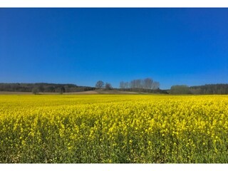 Apartment Neuburg in Mecklenburg Umgebung 34