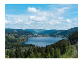 Apartamento de vacaciones Titisee-Neustadt Entorno 18
