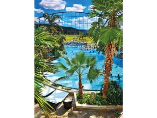 Apartamento de vacaciones Titisee-Neustadt Entorno 23