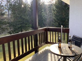 Apartamento de vacaciones Titisee-Neustadt Características 16