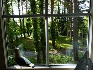 Urlaubs Blick nach draußen, sehr erholsam, ruhige Lage