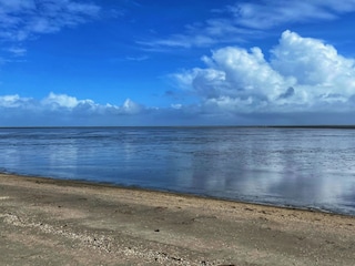 Das Wattenmeer