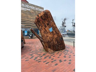 Apartamento de vacaciones Schillig Entorno 36