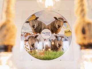 Vakantieappartement Schillig Kenmerken 14