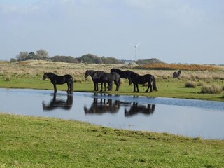 Appartement 't Zand Omgeving 24