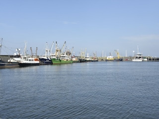 Appartement Wieringen Omgeving 36