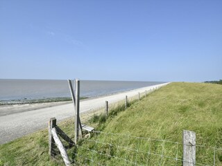 Appartement Wieringen Environnement 21