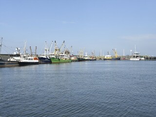 Apartamento Wieringen Entorno 26