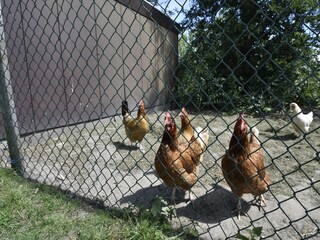 Apartamento Wieringen  40