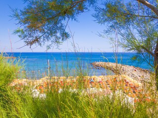 Appartamento per vacanze San Lorenzo Al Mare Ambiente 16