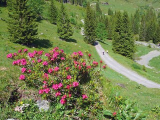 Appartamento per vacanze Leogang Ambiente 16