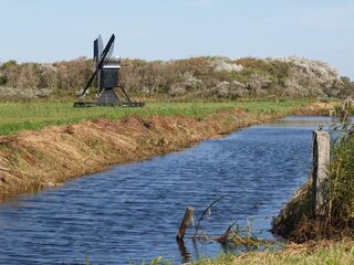 Appartamento per vacanze Callantsoog Ambiente 30