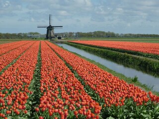 Appartamento per vacanze Callantsoog Ambiente 29