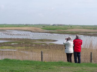 Appartamento per vacanze Callantsoog Ambiente 32