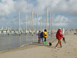 Appartamento per vacanze Callantsoog Ambiente 28