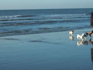 Appartamento per vacanze Callantsoog Ambiente 26