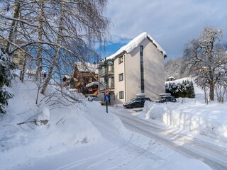 Apartment Gries im Pinzgau Außenaufnahme 2