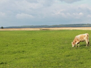 Appartamento Neuburg in Mecklenburg Ambiente 26