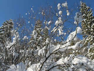 Appartamento Neuburg in Mecklenburg Ambiente 28