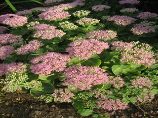 Apartamento Neuburg in Mecklenburg  31