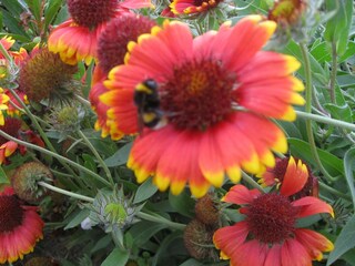 Appartamento Neuburg in Mecklenburg  32