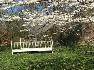 Apartamento Neuburg in Mecklenburg Grabación al aire libre 2