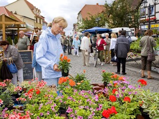 Appartamento Waren (Müritz) Registrazione all'aperto 20