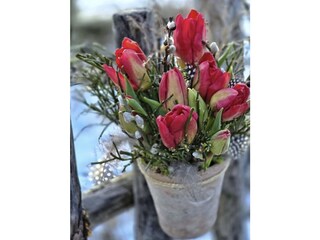 Appartamento Waren (Müritz) Documento 43