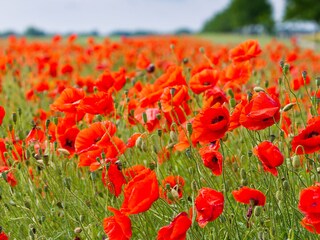 Appartement Waren (Müritz) Enregistrement extérieur 6